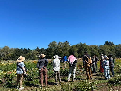 Group of farmers and facilitators standing in a field listening to a speaker during an outdoor field day.