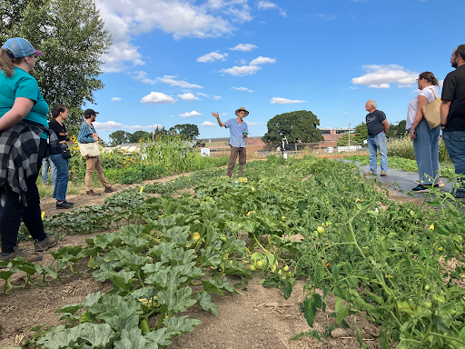 Farmer leading a dry farming variety trial walk in a summer vegetable field with participants observing different crop varieties.