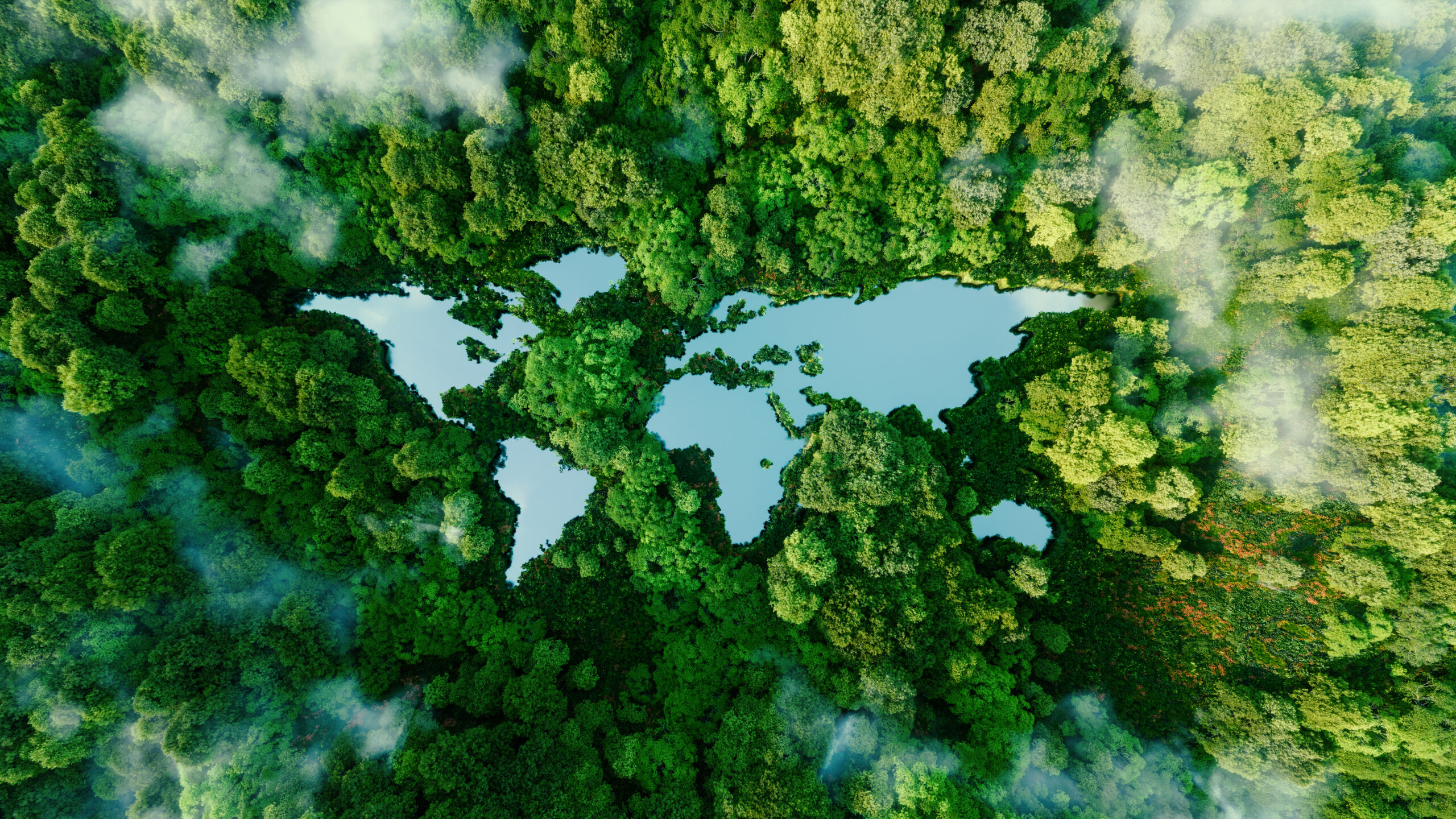 Water Bankruptcy Is Our New Reality. Here’s How We Adapt.
