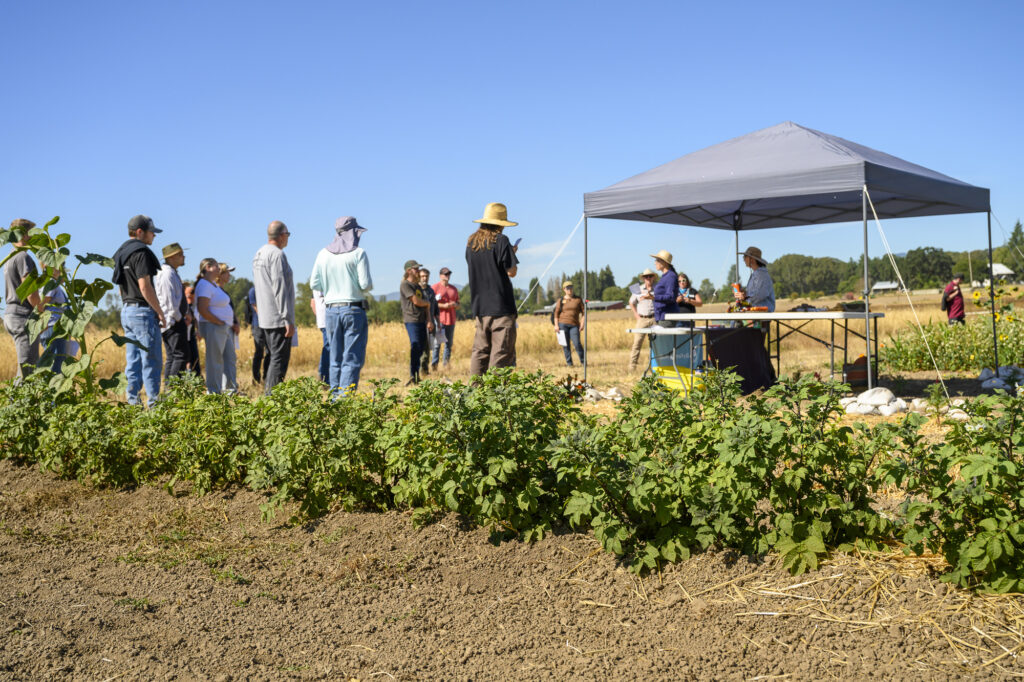 Participants at an outdoor farm field tour with crops and a clear blue sky