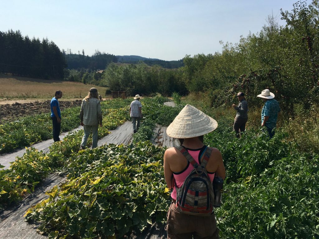 about-the-dry-farming-institute